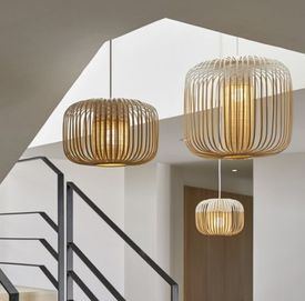 collection bamboo forestier suspension