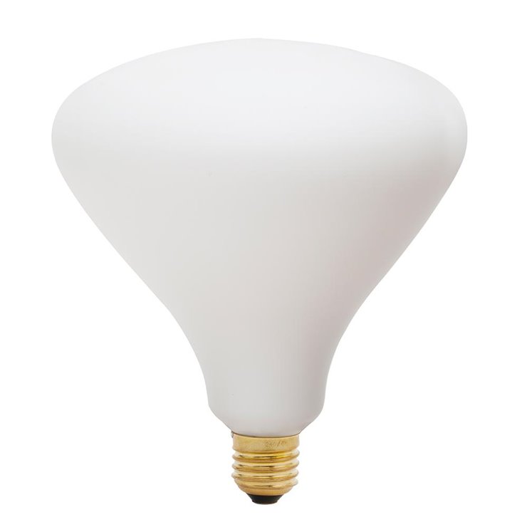 Ampoule LED Verre Dépoli Sphérique E27 Ø14cm 2700K 6W = 45W 540 Lumens Dimmable NOMA 