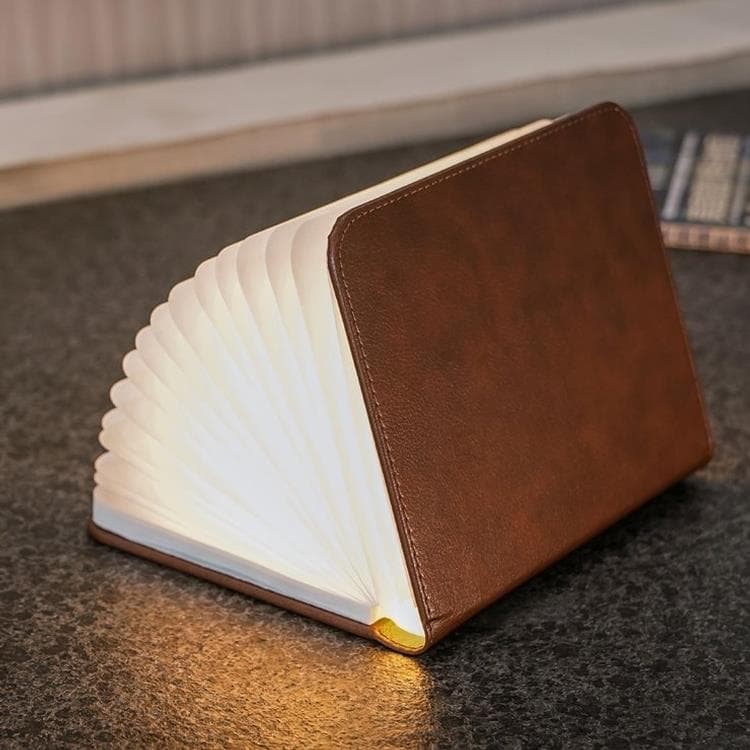 Lampe à poser Cuir H21.5cm SMART BOOKLIGHT LARGE Marron