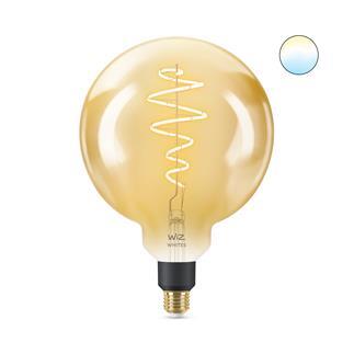 Ampoule LED classique  Ampoule spot, flamme et globe