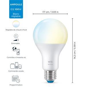 STANDARD Ampoule LED connectée E27 13W=100W 1521lm dimmable blanc
