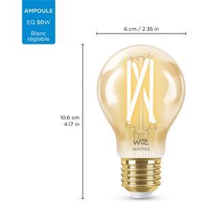 BRIMAX Ampoule LED E27 Dimmable, 6W Ampoules LED Dimmable=60W  Incandescence, Blanc Chaud 2700K 600lm, G45 Ampoules Filament Dimmables,  Petite Vis