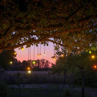 ALLEGRA Guirlande lumineuse solaire & rechargeable d'extérieur 10 lumières  LED Noir New Garden - LightOnline