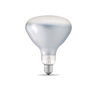 Lampe LED 8W - E27 Globe Standard - 660 Lumens